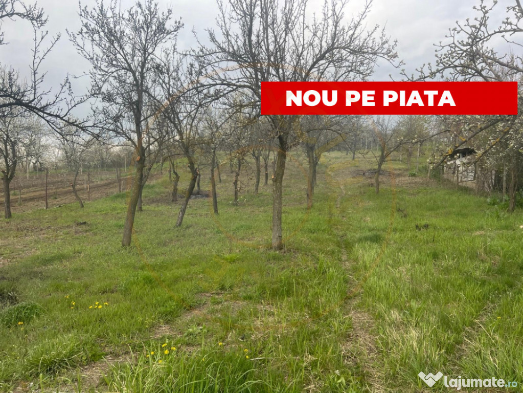 Teren intravilan 2.200 mp cu constructie existenta –Caline