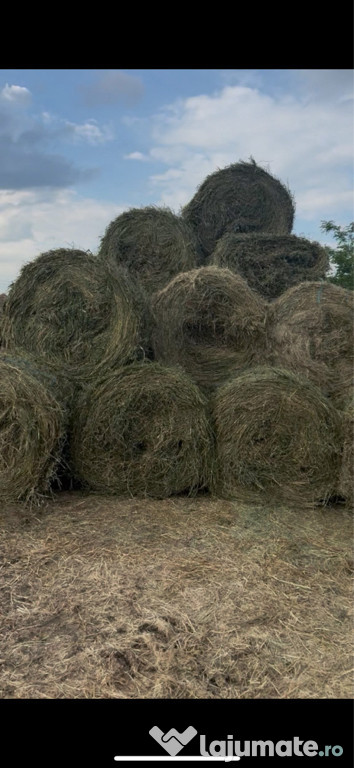 Baloți de diferite tipuri