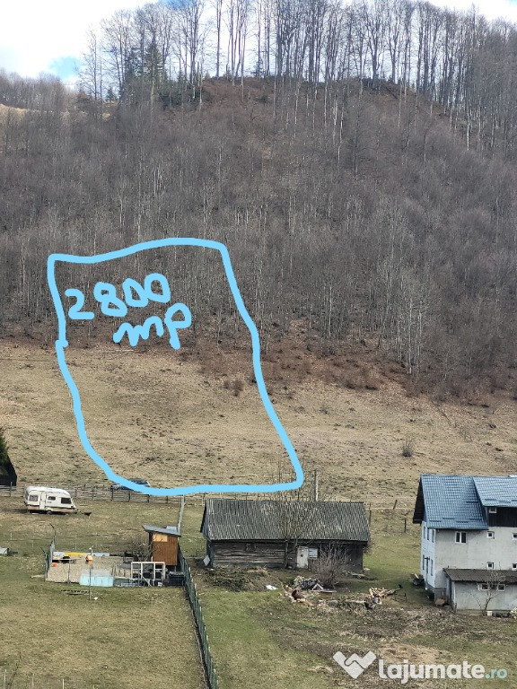 Teren intravilan 3 loturi de 6000, 2800 si 12000mp