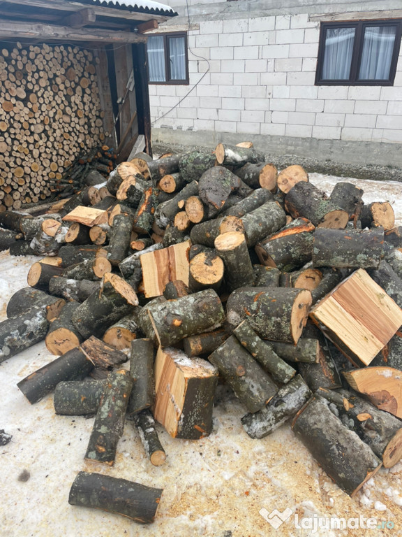Lemne de foc cu transport gratuit