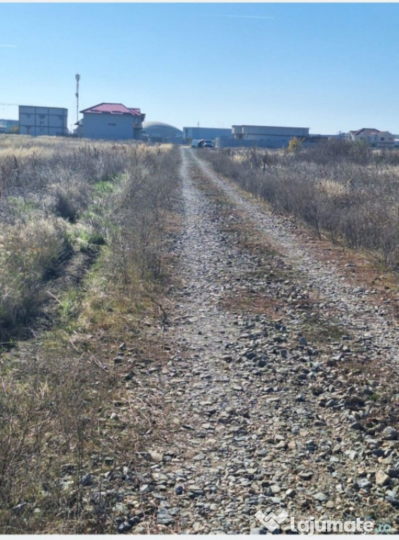 Teren intravilan 1000 mp – Magnolia