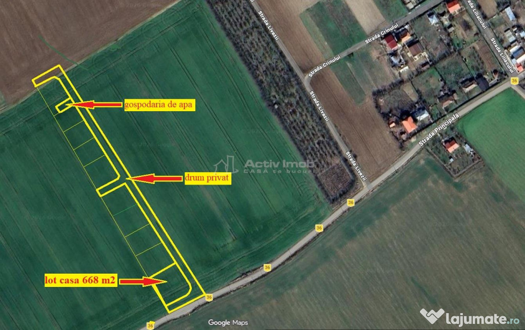 Lot intravilan 668 mp – Popesti Vasilati, la asfalt
