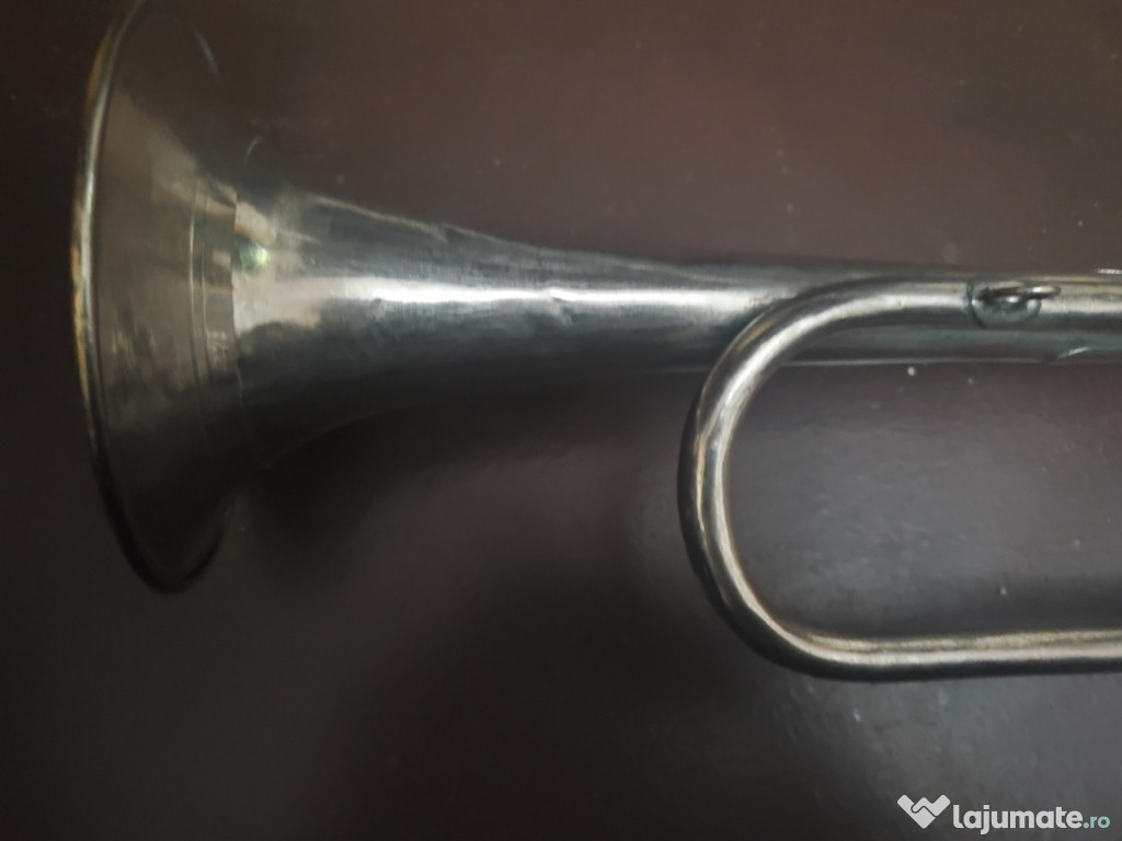 Trompeta pentru goarna