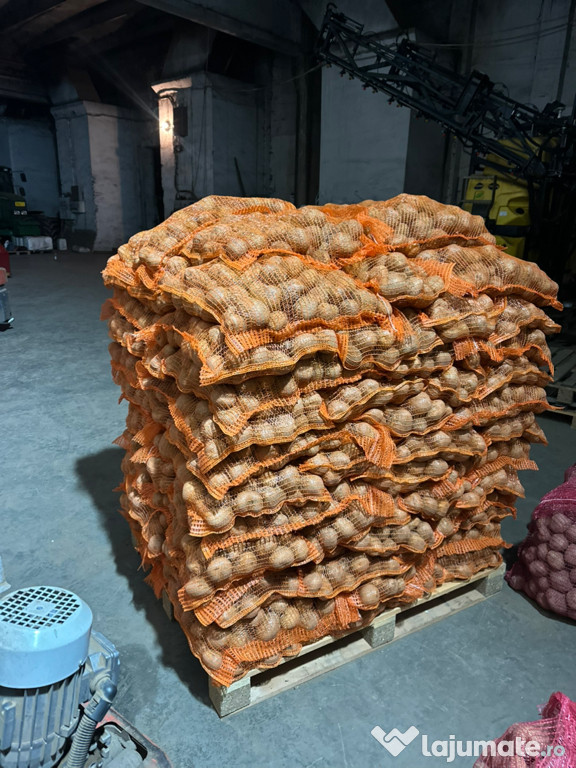 Cartofi de sămânță