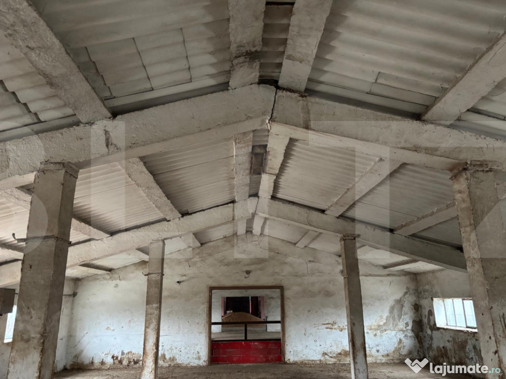 Hală pentru depozitare / logistică, curte mare – Iratos