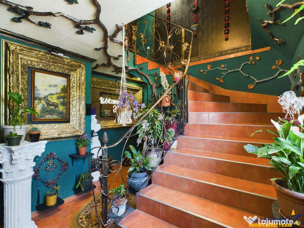 Resedinta impresionanta, vedere panoramica, Centru Istoric -