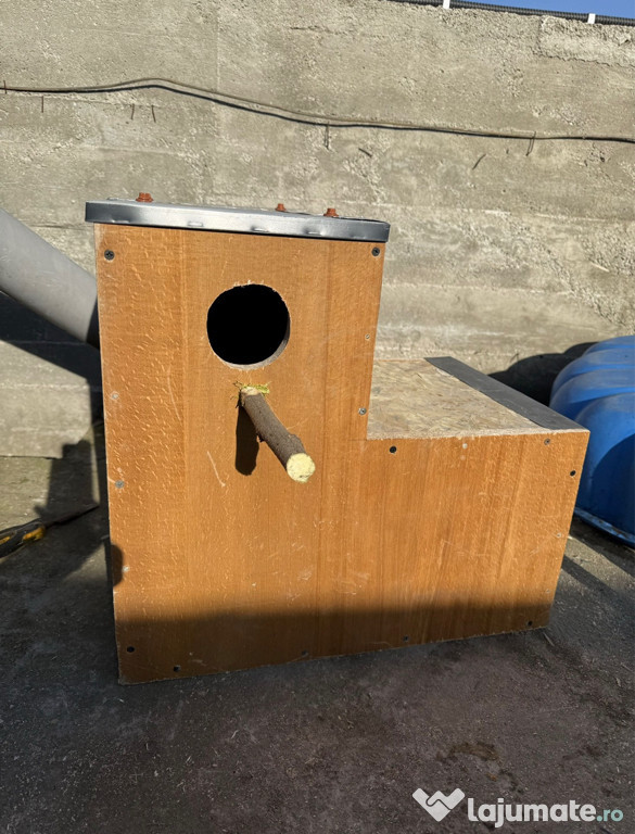 Execut cuiburi de papagali