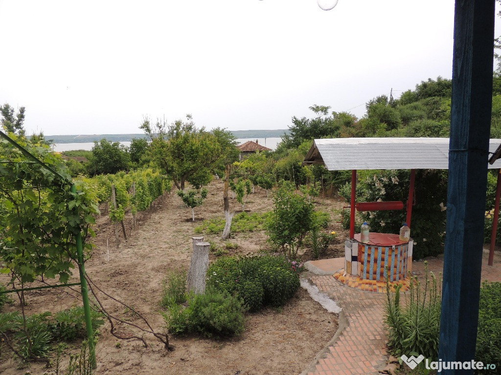 Casa 4 camare , Localitatea Satu Nou , Oltina Central