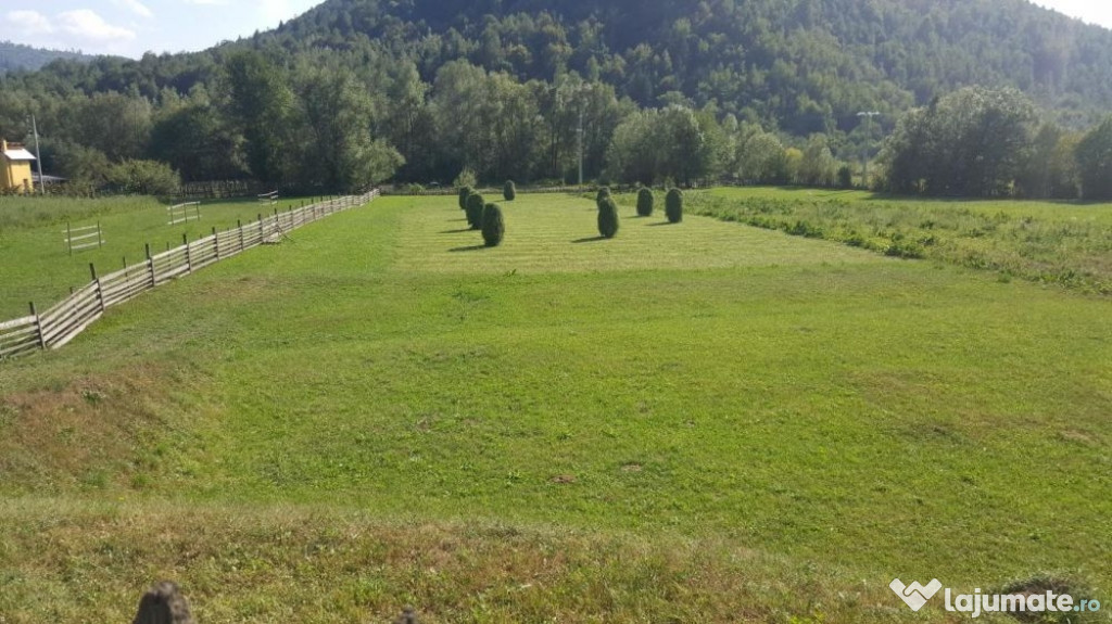 Teren/loc de casă 3300mp Satul Molid,Com.Vama Jud. Suceava