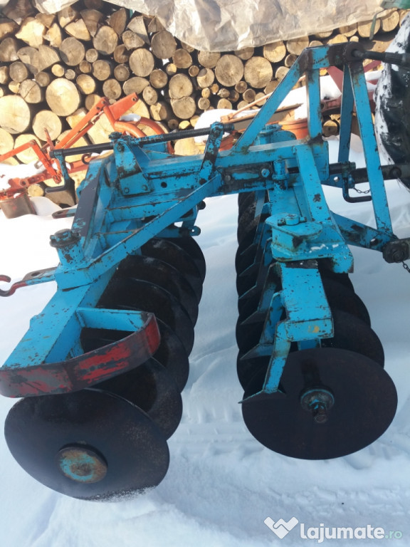 Disc robust