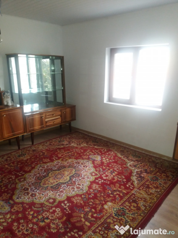 Casa de vacanta in Lunca (C.A. Rosetti), Buzau