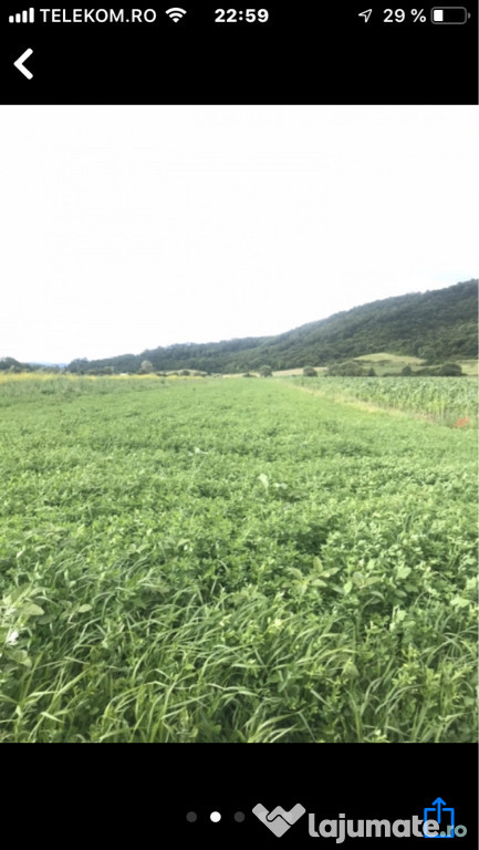 Teren in sieul megheruș 7700mp
