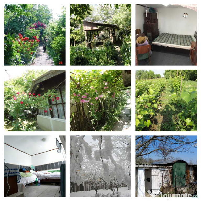 Casa la tara in Vasilati aer curat. 35Km de Bucuresti