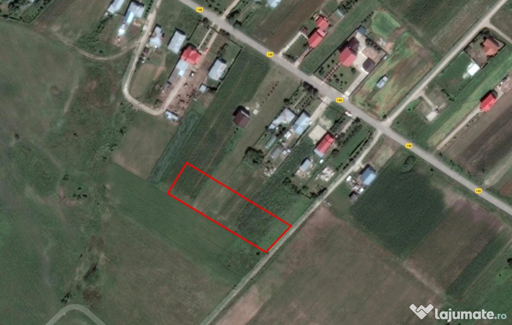Teren 4000mp, sat Icoana, comuna Ulmi, la 20km de Bucuresti