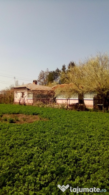 Casa buna Garbovi Central