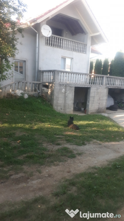 Casa la tara Scaueni, Berislavesti, Valcea, str Principală