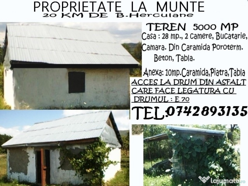 Proprietate 5000 mp + casa 30mp +anexa10mp Plugova Central