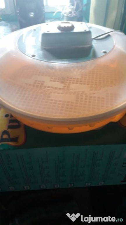 Incubator Puișor