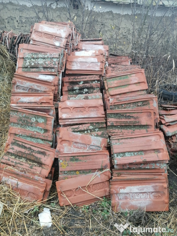Țiglă leu