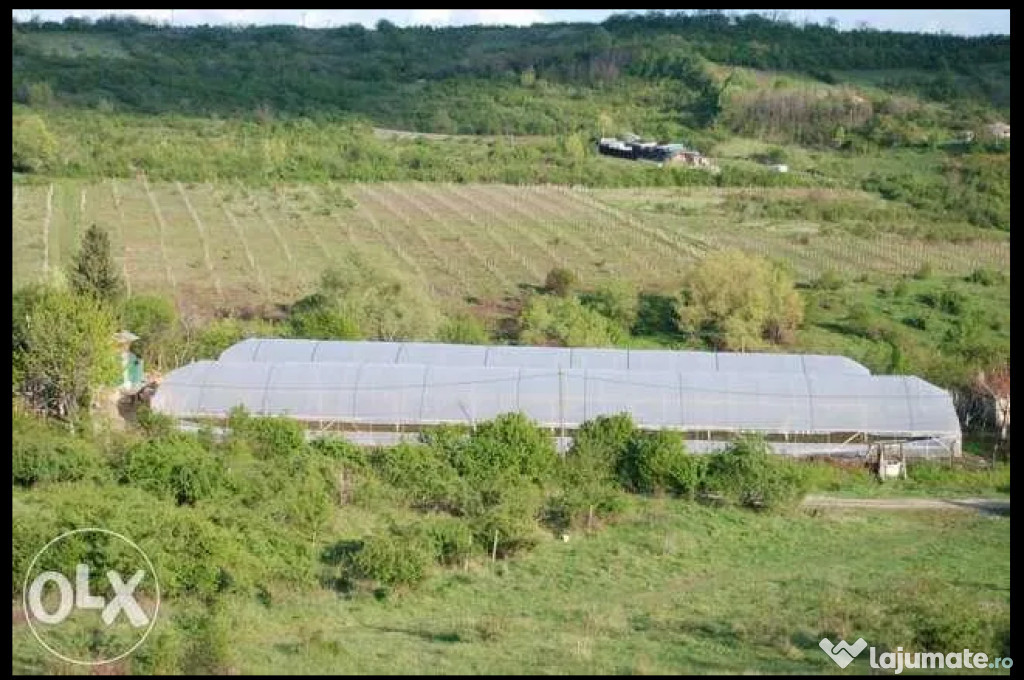 Casa si solarii de inchiriat Prahova,Chitorani