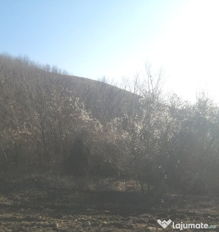 Loc de casa & livada, peisaj feeric subcarpatic, 40 km Buzau