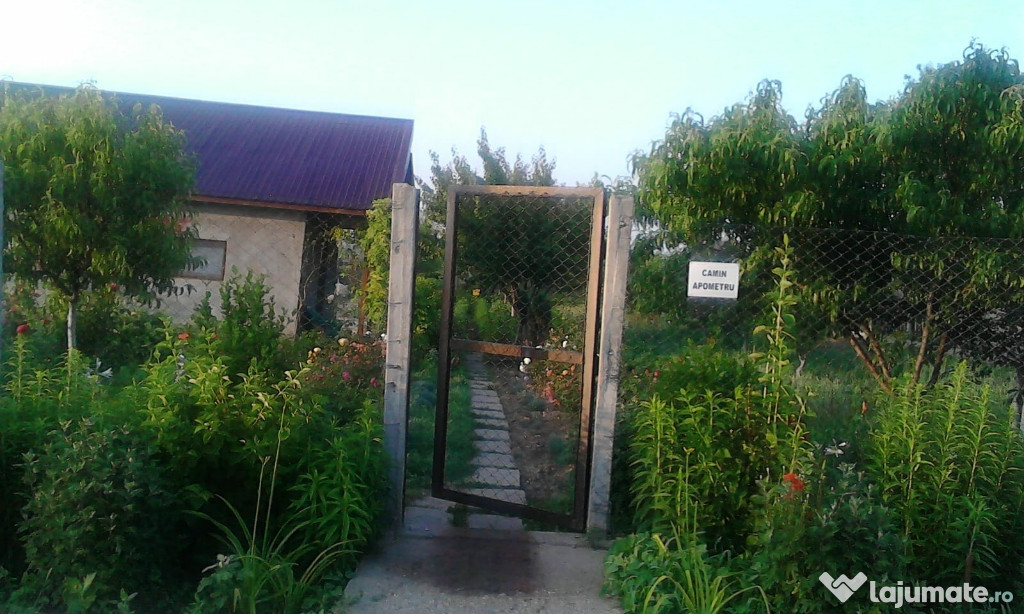 Cabana+ teren +livada Dichiseni, Calarasi