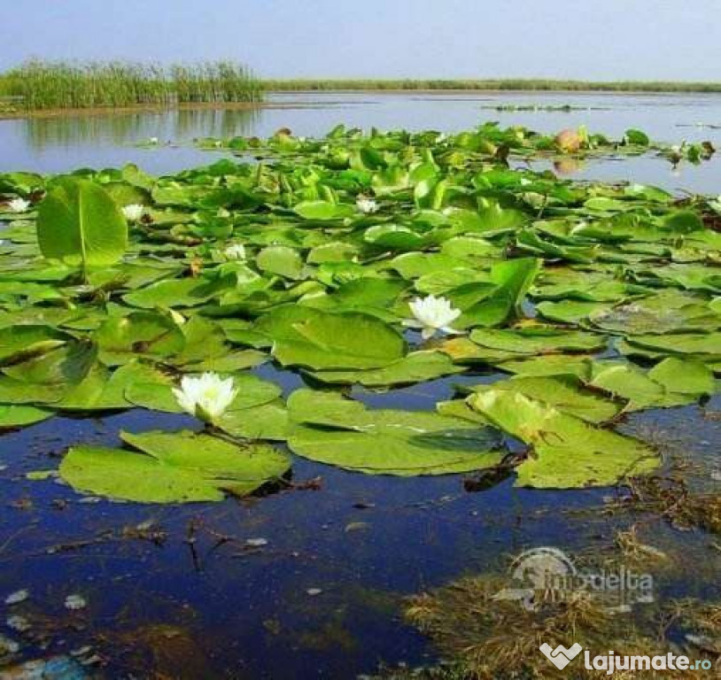 Teren Delta Dunarii pentru investitii 1500 mp