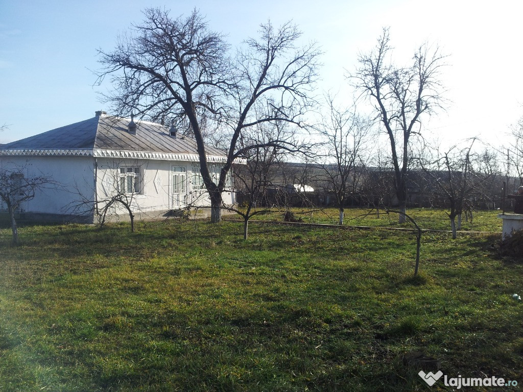 Casa caramida cu teren 5000 mp in Podriga, aproape de Saveni