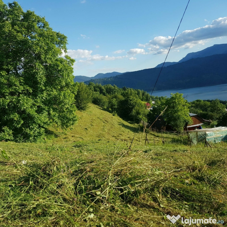 Teren în grozăvești 10000mp