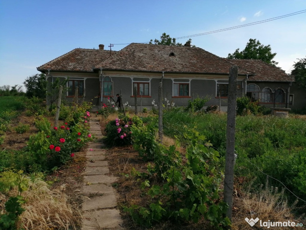 Casă, sat Piscu Nou