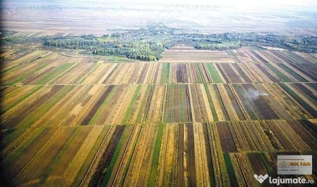 TEREN INTRAVILAN 504 MP TARGSORUL VECHI, STANCESTI 10.000 EU