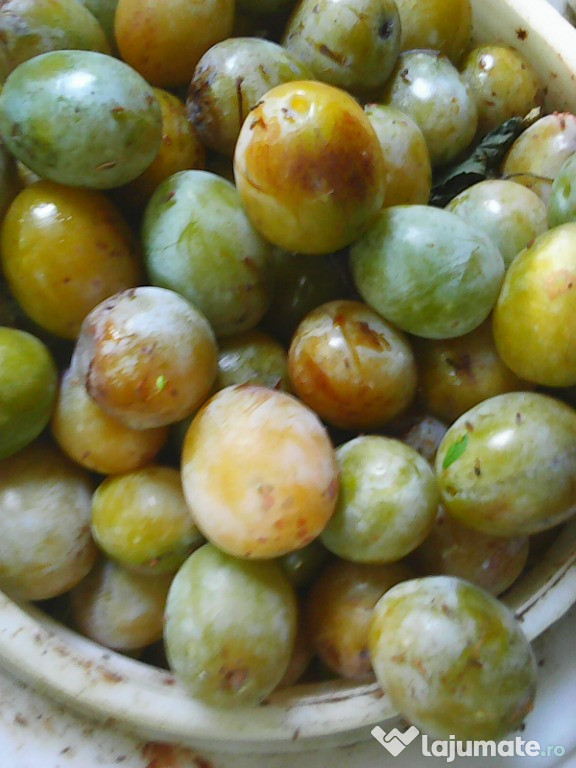 Schimb, prune albe pentru taiat lemne