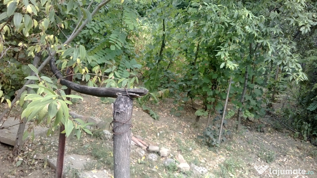 Casa la tara Niscov, Buzau