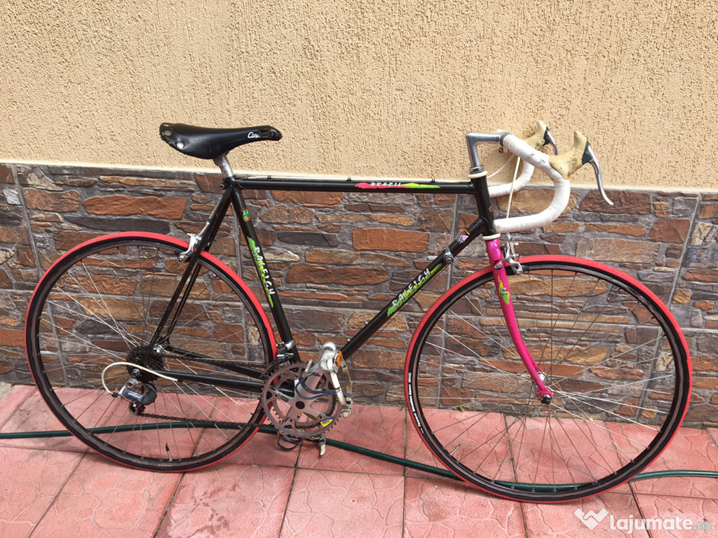 Semicursiera raleigh