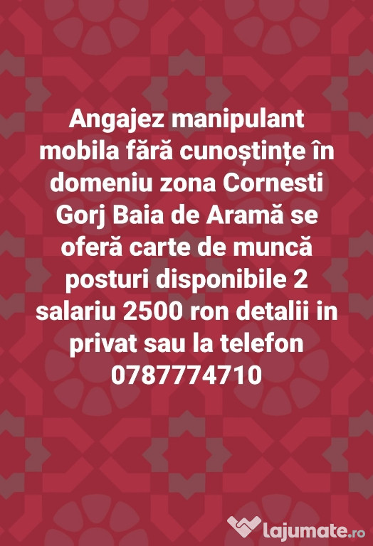 Angajez manipulant mobila montator mobila