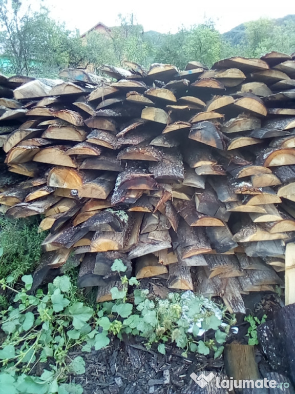 Laturoaie (margini stejar)