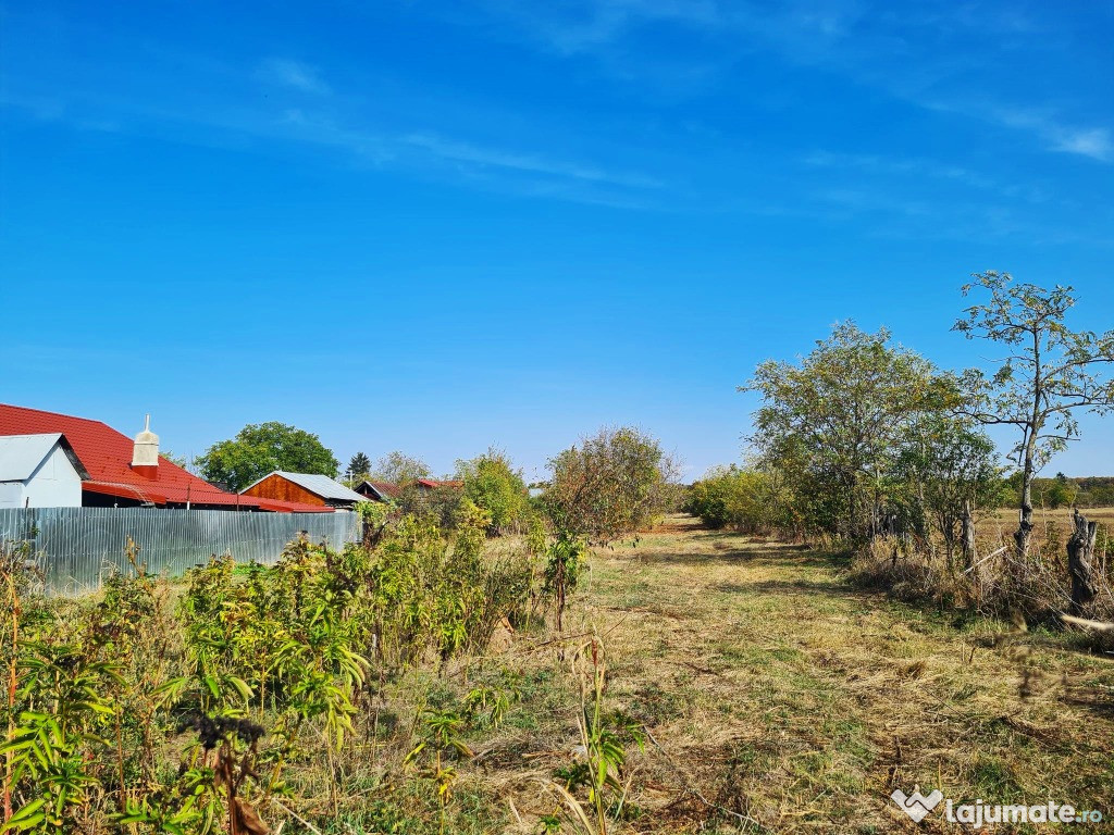 Targsoru Nou - teren 4800 mp intravilan (parcelabil)