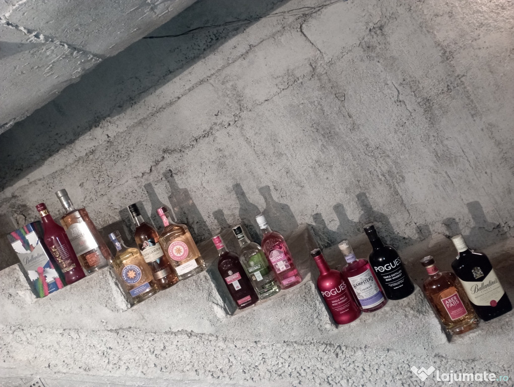 Băuturi alcoolice