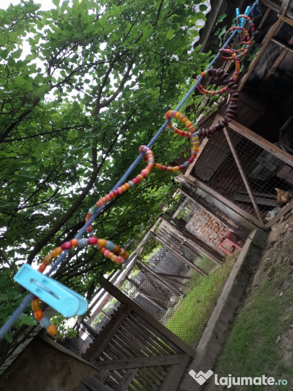 Brățară pentru doamne și domnișoare.