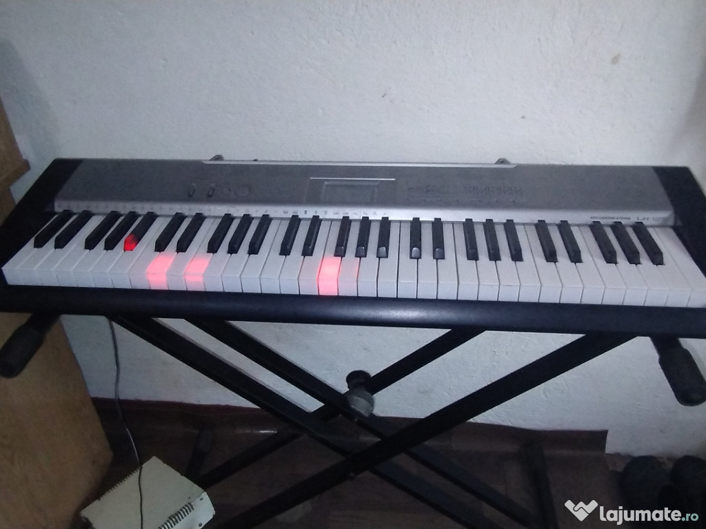 Orga casio pentru copii