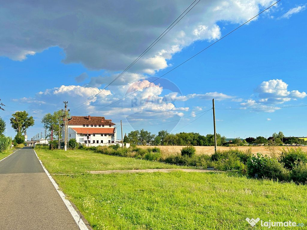 De vânzare pensiunea "Casa Albă" Pecica/Arad.