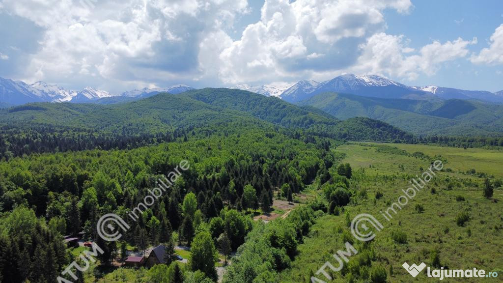Teren intravilan 1500 mp pe Valea Avrigului