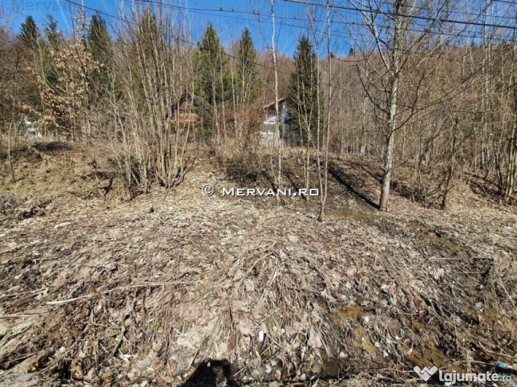 Teren de vânzare în Sinaia