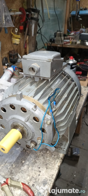 Generator sincron rotor in 6 poli