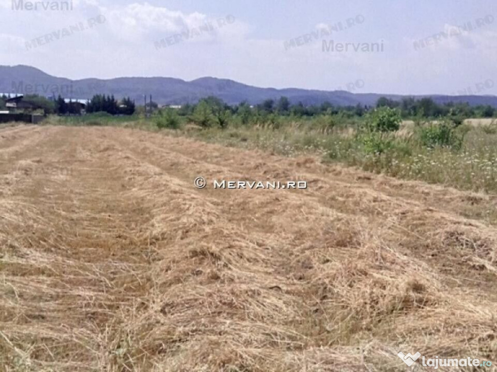 Teren de vânzare în Bănești (zona Ausburg)