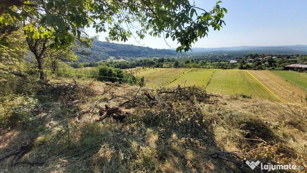 Teren in Baia de fier cu proiect pentru casa de vacanta 10939mp