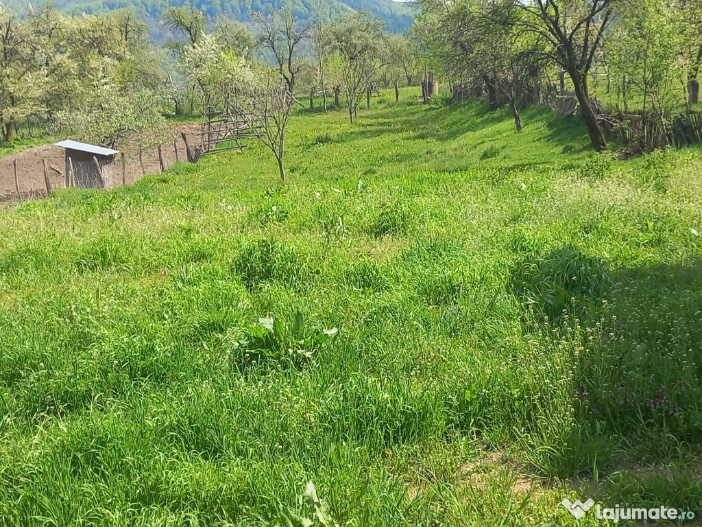Teren 1250mp Intravilan-Corbeni- Arges
