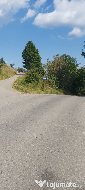 Teren 3800mp Bustenari, Prahova