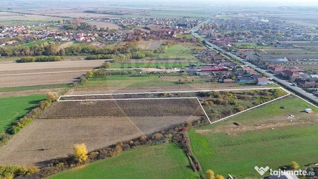 Teren intravilan 7600MP la 5km fata de Satu Mare