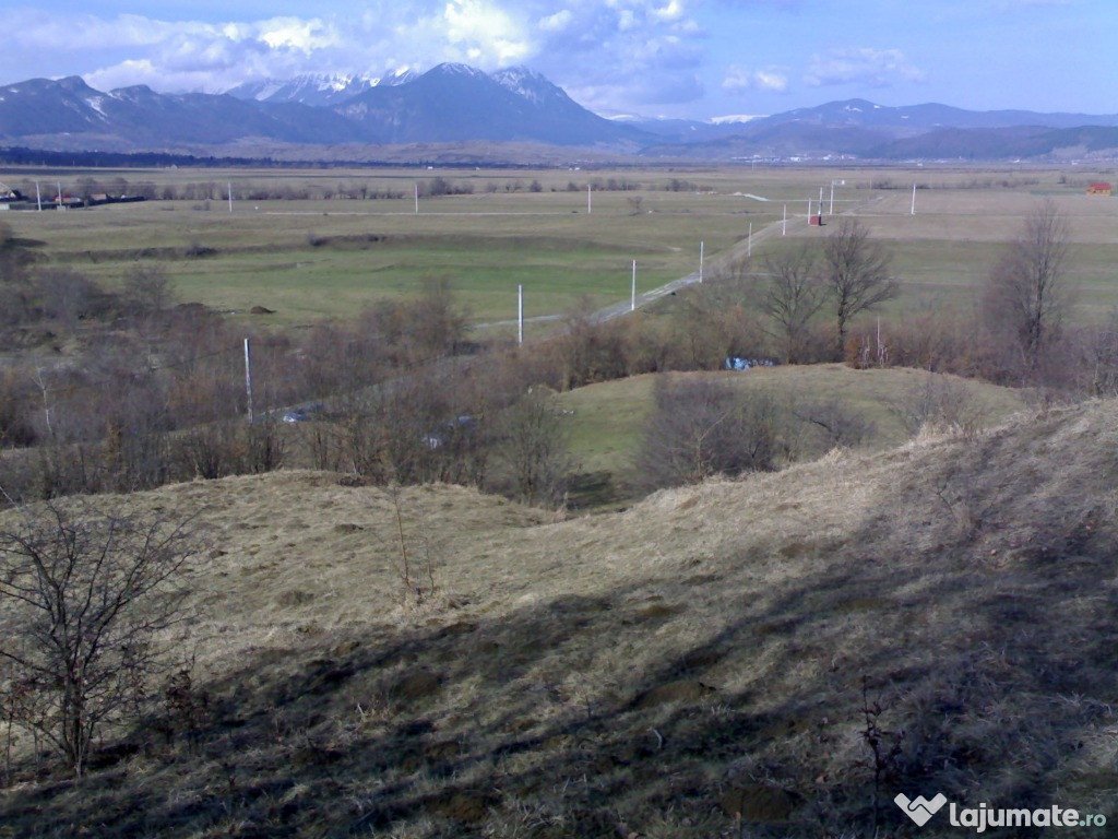 Teren Rasnov Glajerie 10000mp